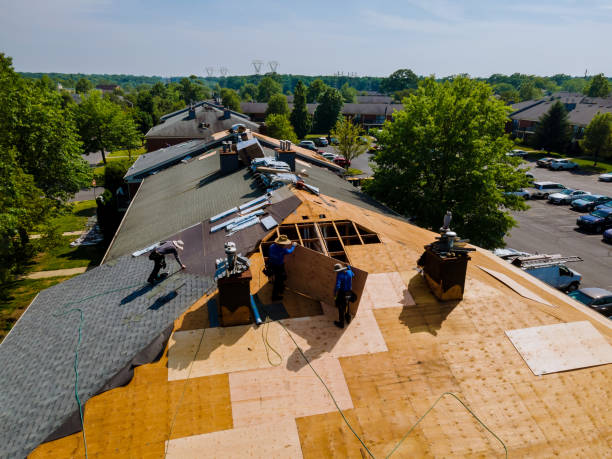 Best Roof Leak Repair  in Bidwell, OH