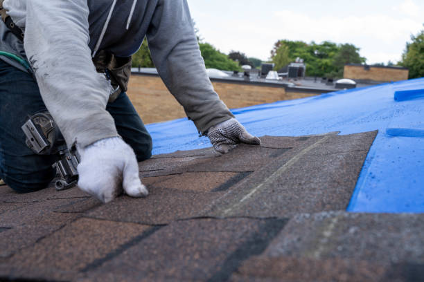 Best Roof Repair Services  in Bidwell, OH