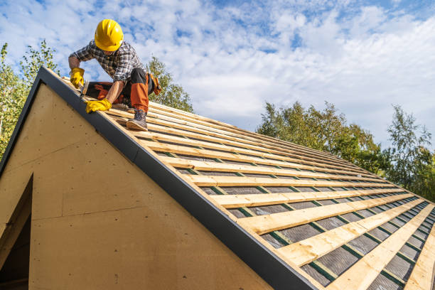 Best Roof Maintenance Services  in Bidwell, OH